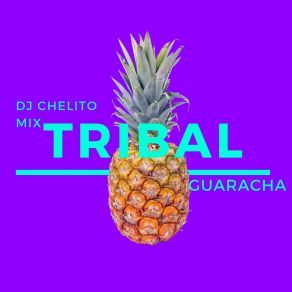 Download track Bao Sao DJ Chelito Mix