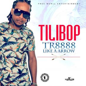 Download track Tr8888 Like A Arrow Tilibop