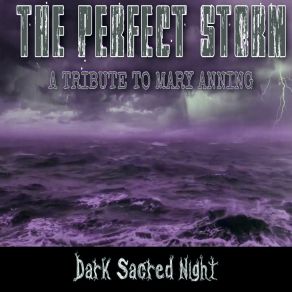 Download track The Perfect Storm Dark Sacred Night