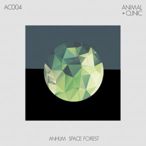 Download track Space Forest Anhum