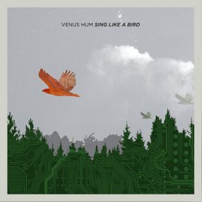 Download track Sing Like A Bird Venus Hum