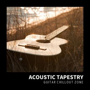 Download track Countryside Blues Night Guitar Chillout Zone