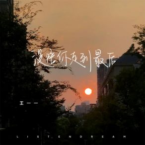 Download track 没陪你走到最后 王一一