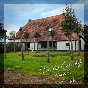 Download track Bomen Vangen Wind (Live) Luuk Geers