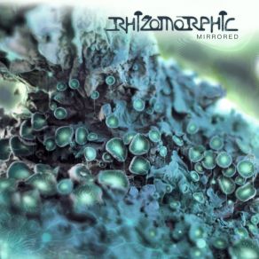 Download track Endophyte Rhizomorphic