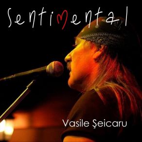 Download track Mă Simt Nemuritor Vasile Seicaru