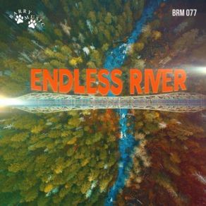 Download track Endless River Dario Comuzzi, Sean Duff, Canio Claudio Tristano