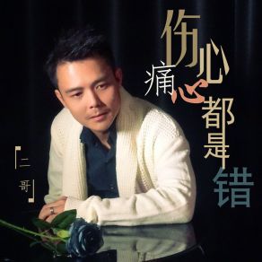 Download track 伤心痛心都是错 (伴奏) 二哥