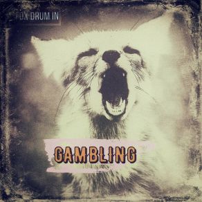 Download track Gambling Fox Drum In