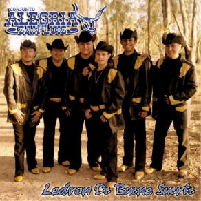 Download track Golpe Al Corazon Conjunto Alegria De San Luis