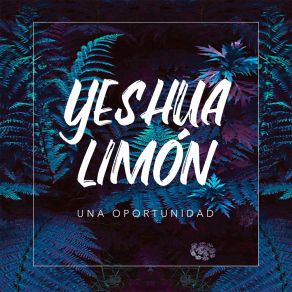 Download track Mi Linda Princesa Yeshua Limón