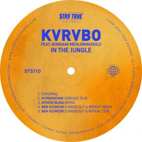 Download track In The Jungle KvrvboBongani Mehlomakhulu