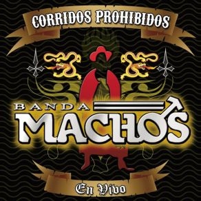 Download track El Más Buscado (Live Version) Banda Machos