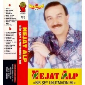 Download track Bir Şey Unutmadın Mı Nejat Alp