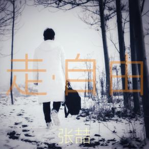 Download track 走·自由 (伴奏) 张喆