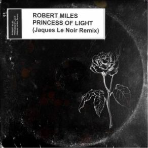 Download track Princess Of Light (Jaques Le Noir Edit Remix) Robert Miles