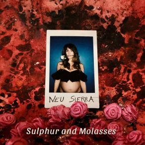 Download track For The Last Time Neu Sierra