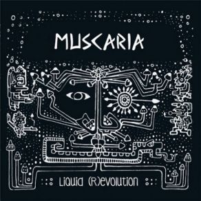 Download track Crepuscular Muscaria