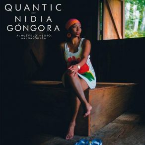 Download track Nanguita Quantic, Nidia Sophia Gongora Bonilla