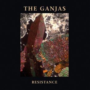 Download track Resistance The Ganjas