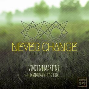 Download track Never Change (Radio Edit) Hannah Mahaffey