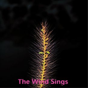 Download track The Wind Sings George Winnie