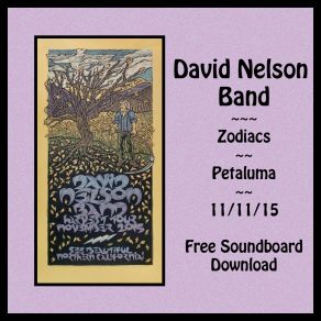 Download track Just A Season David Nelson Band