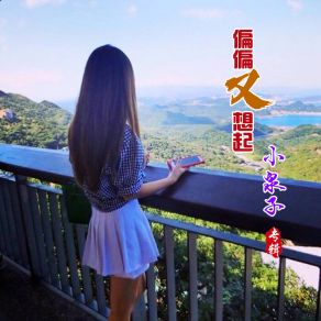 Download track 多情的伤害 小泉子