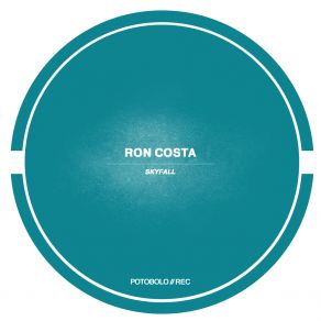 Download track Skyfall (Instrumental Mix) Ron Costa