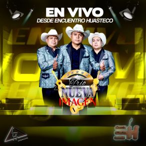 Download track Tu Hombre Perfecto (En Vivo) Trio Nueva Imagen