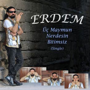 Download track Bitimsiz Erdem