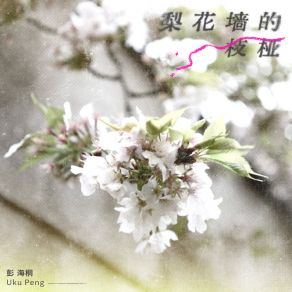 Download track 梨花墙的枝桠 (伴奏版) 彭海桐