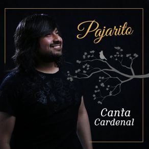 Download track Por El Tucu Tucu Pajarito