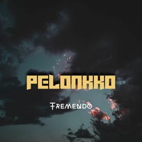 Download track Perdon PELONKKO