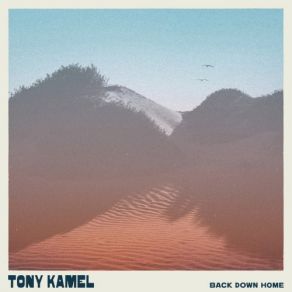 Download track The Surfer Tony Kamel