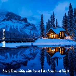 Download track Sheer Tranquility With Forest Lake Sounds At Night, Pt. 8 Steve Brassel