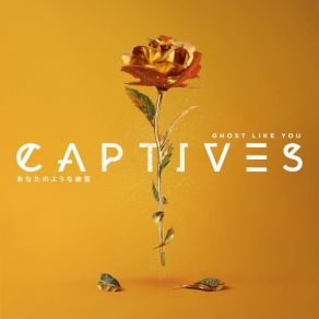 Download track Signs Captives