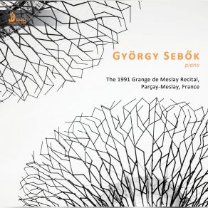 Download track Piano Sonata No. 48 In C Major, Hob. XVI: 35: I. Allegro Con Brio (Live) Gyorgy Sebok