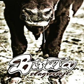 Download track Fuga De Aceite Biruta