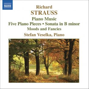 Download track 4.5 Klavierstucke Op. 3 IV Allegro Molto Richard Strauss