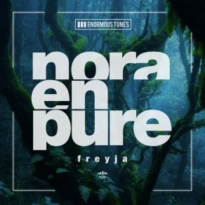 Download track Freyja (Extended Mix) Nora En Pure