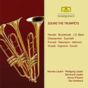 Download track Sinfonies De Fanfare In D Major: 3. Fanfares (3rd Movement Of Suite No. 1) Norbett SchmittSimon Preston, Hannes Läubin, Wolfgang Läubin, Bernhard Läubin, Norbert Schmitt