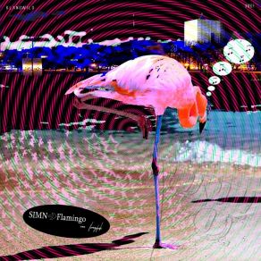 Download track Funky Flamingo SIMN