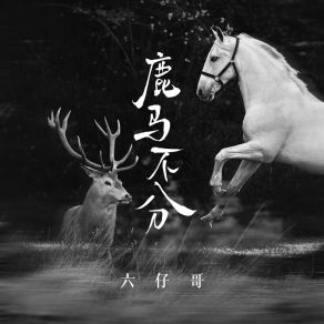 Download track 鹿马不分 (Dj九零版伴奏) 六仔哥九零