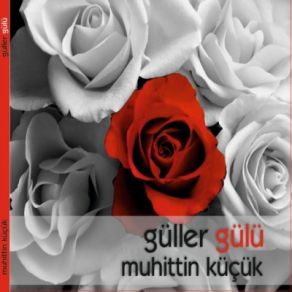 Download track Gidemedim Kabeye Muhittin Küçük