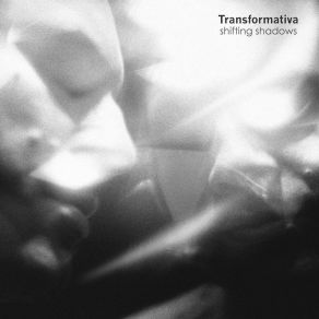 Download track Shifting Shadows No. IX Transformativa