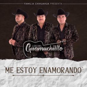 Download track Que Linda Eres Los Del Guamichilito