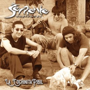 Download track Dejame Decirte Serpiente Emplumada