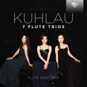 Download track Trio In G Minor, Op. 13 No. 2: II. Allegro Con Moto Flute East Trio