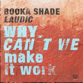 Download track Why Can't We Make It Work Laudic